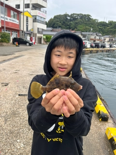 カワハギの釣果