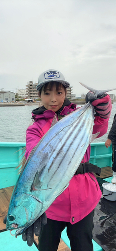 カツオの釣果