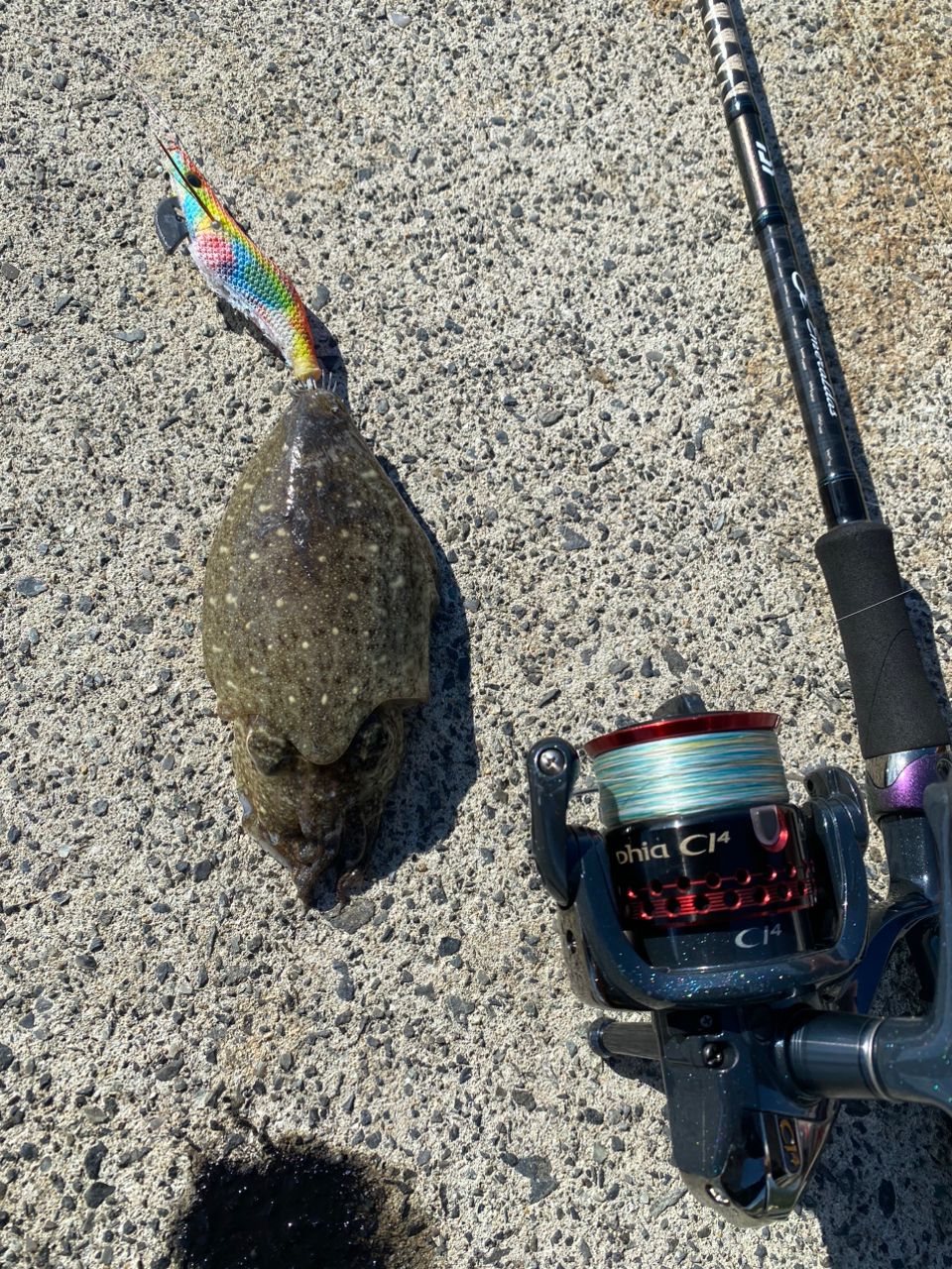 SHIMANO 18セフィア BB ティップエギング S70ML-Sの最安値