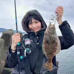 ヒラメの釣果