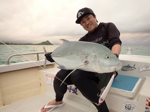 カスミアジの釣果