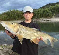 ニゴイの釣果