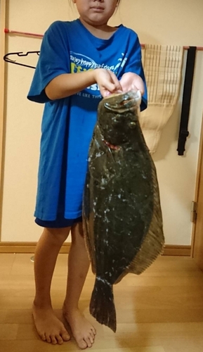 ヒラメの釣果