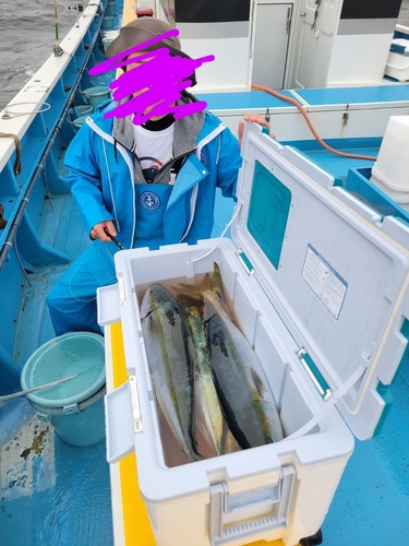 ワラサの釣果