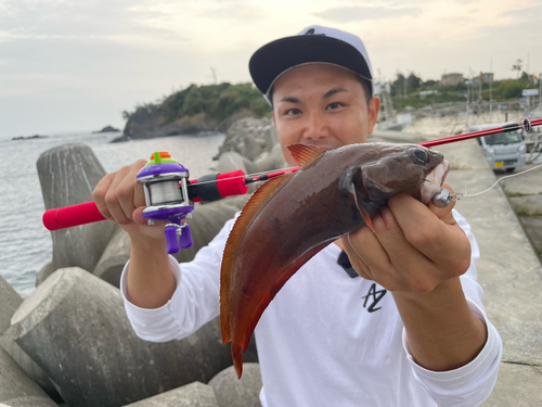 ドンコの釣果