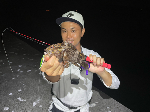 オウゴンムラソイの釣果