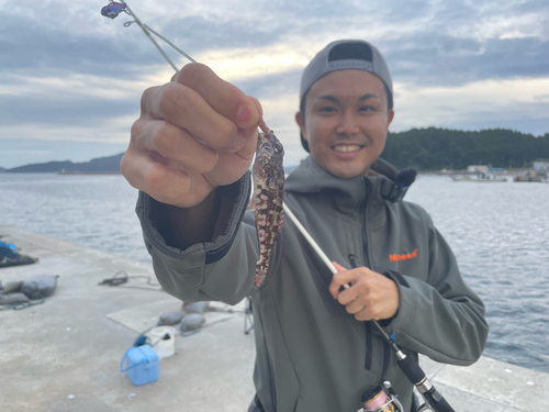 アサヒアナハゼの釣果