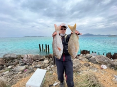 シロダイの釣果