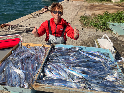 タチウオの釣果