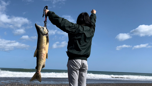 アキアジの釣果