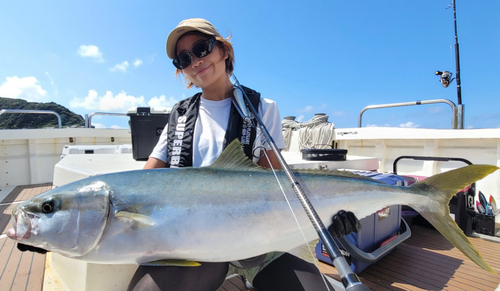 ヒラマサの釣果