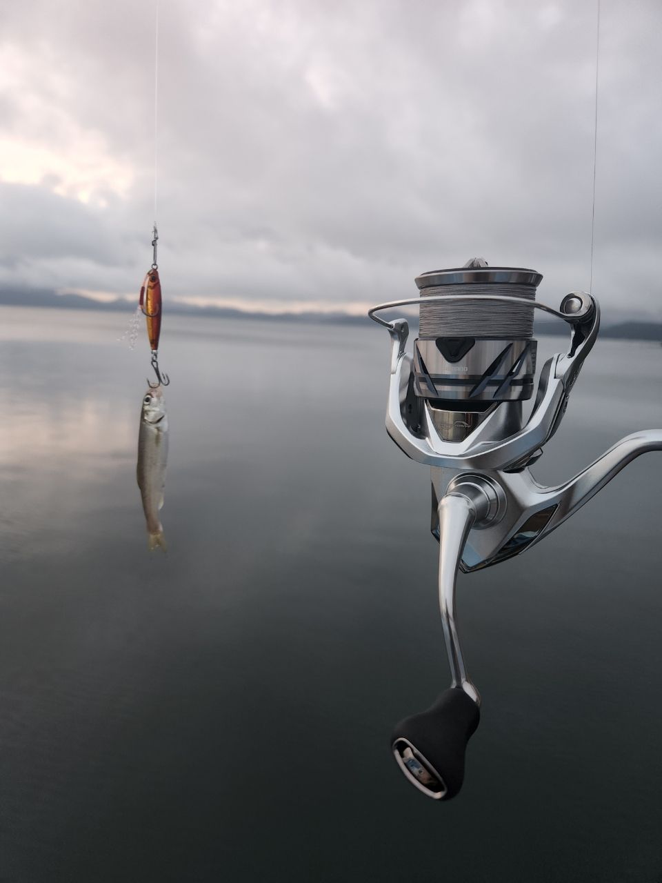 SHIMANO - 期間限定お値下げ！ シマノ トラスティック S510-610L Amazon | シマノ(SHIMANO) パックロッド トラスティック S610L