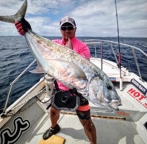 ヒラアジの釣果