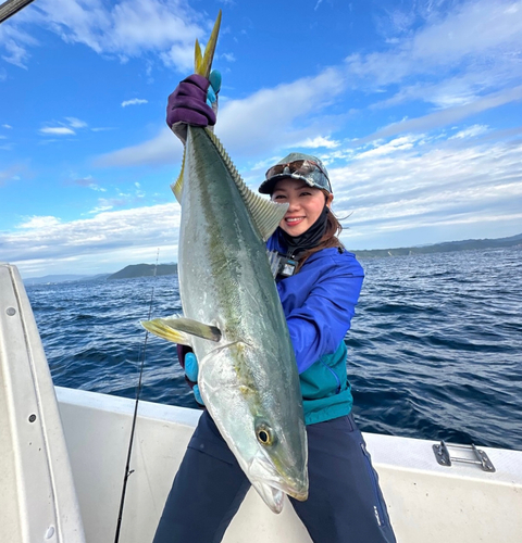 ハマチの釣果