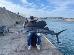 バショウカジキの釣果