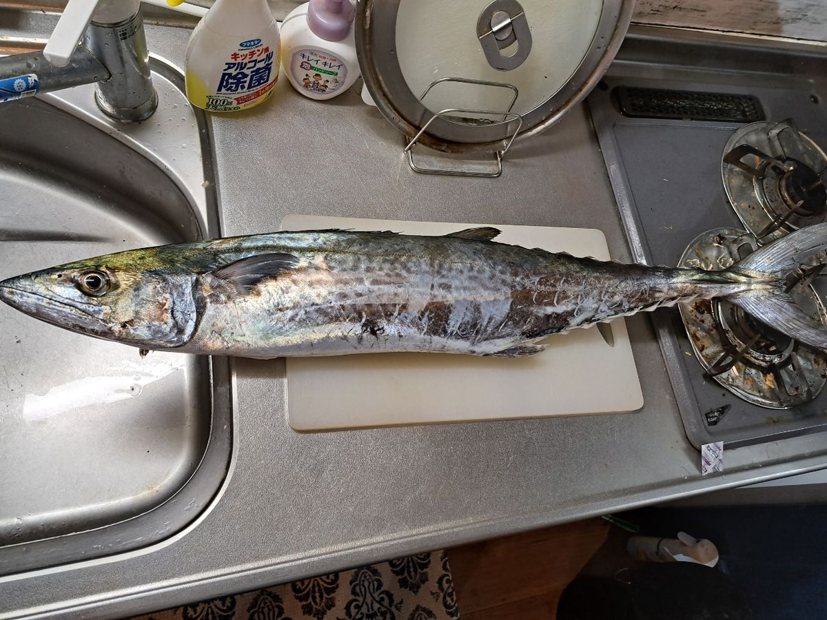 畑のanglerさんの釣果 2枚目の画像