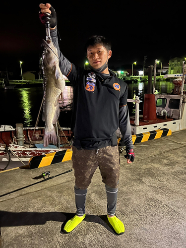 ナマズの釣果