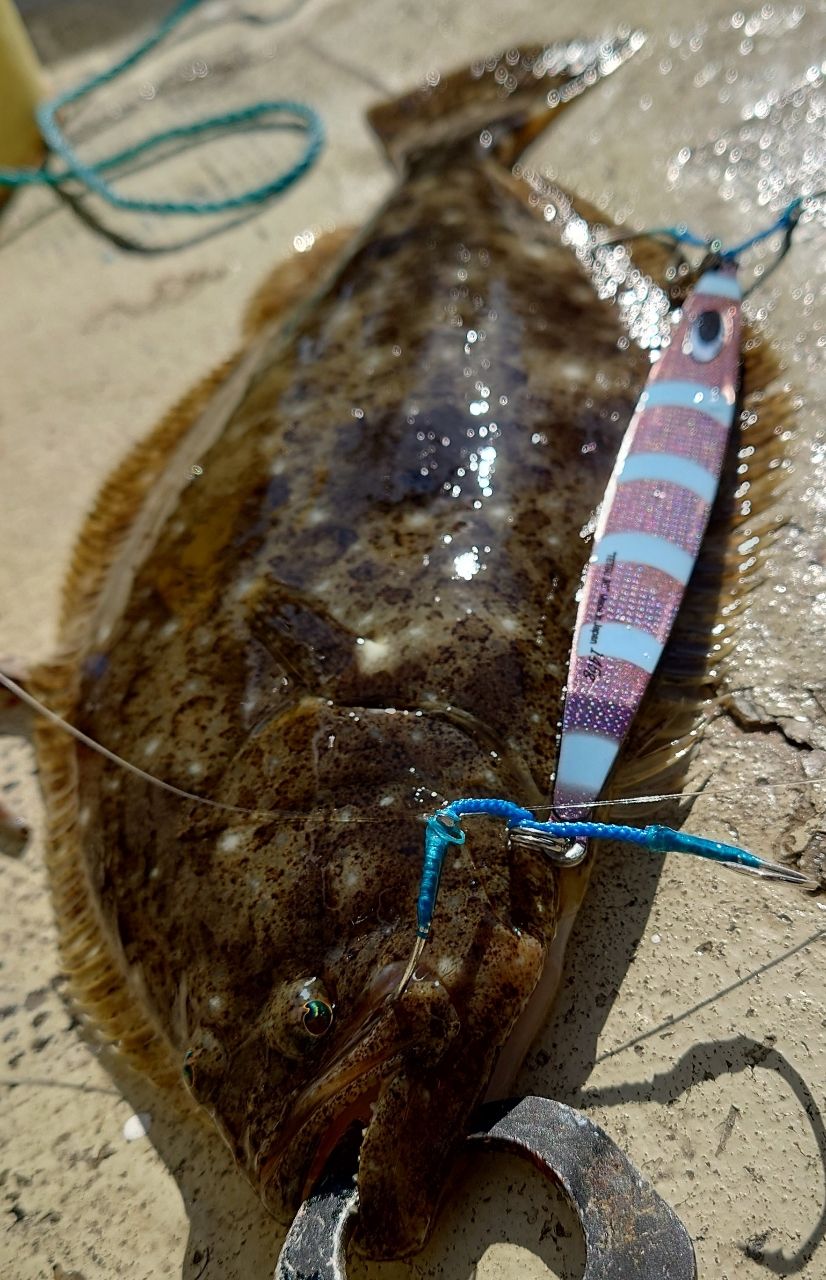 オミオミ（オミモン）さんの釣果 1枚目の画像