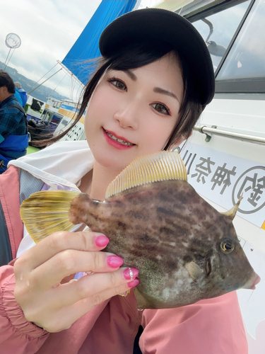 カワハギの釣果