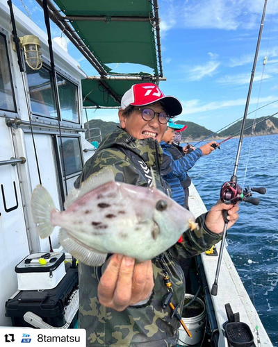 カワハギの釣果