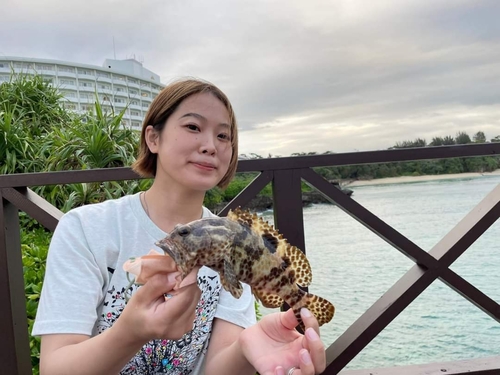 イシミーバイの釣果