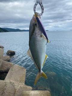 ネリゴの釣果