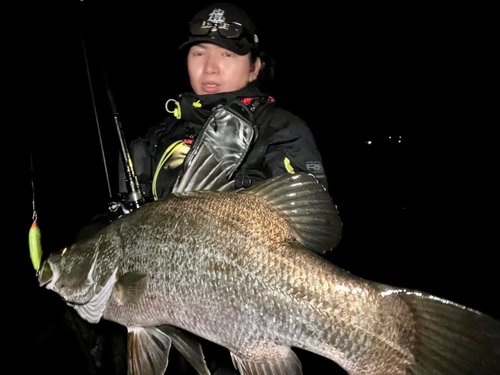 アカメの釣果