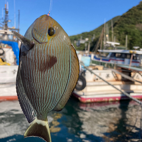 釣果