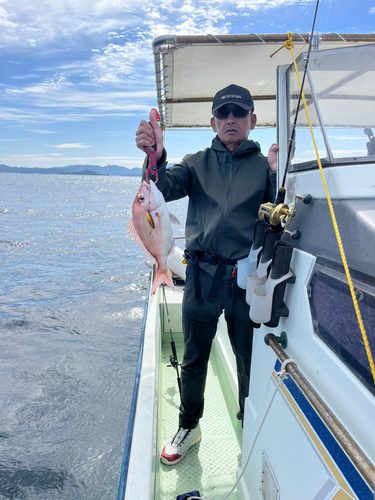 マダイの釣果