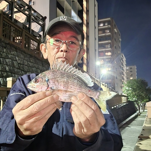 キビレの釣果