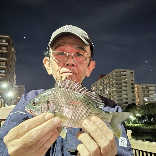 キビレの釣果