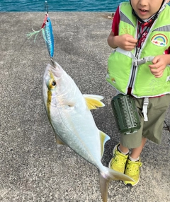 ショゴの釣果