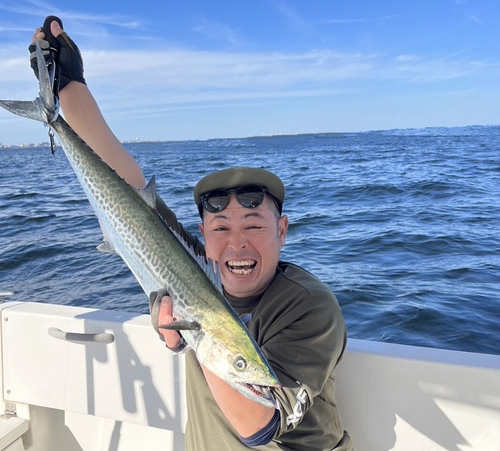 サワラの釣果