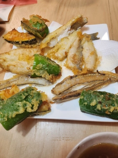 シロギスの釣果