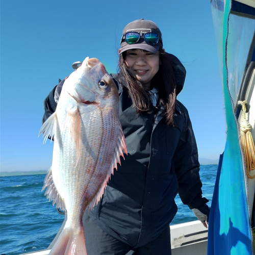 ハナダイの釣果