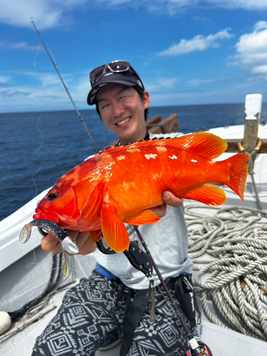 アカハタの釣果