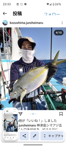 シマアジの釣果