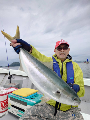 メジロの釣果