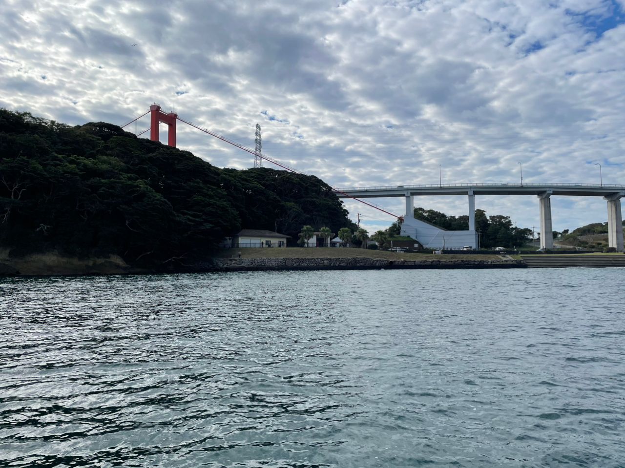 シイラ