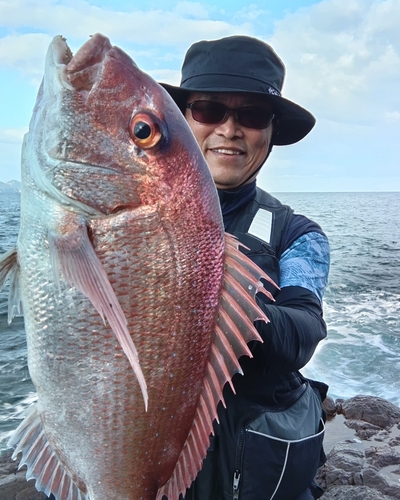 イサキの釣果