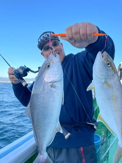 ショゴの釣果