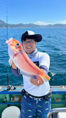 アカアマダイの釣果