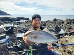 カンパチの釣果