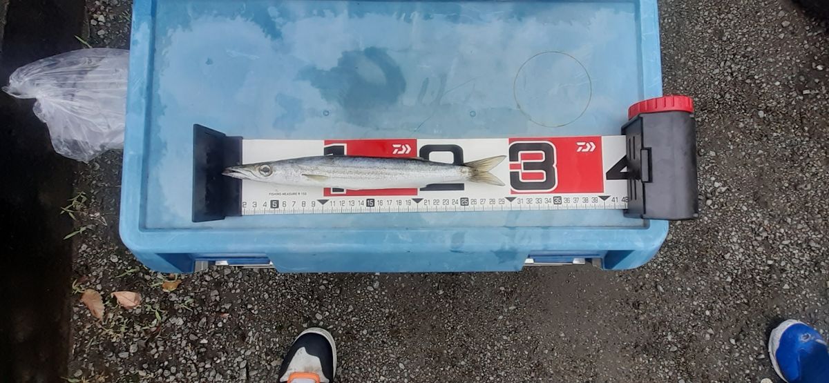 クアンタさんの釣果 2枚目の画像