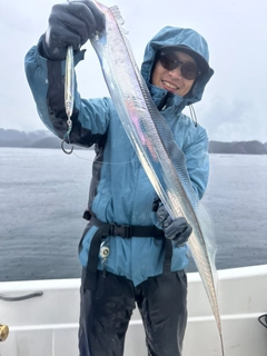 タチウオの釣果