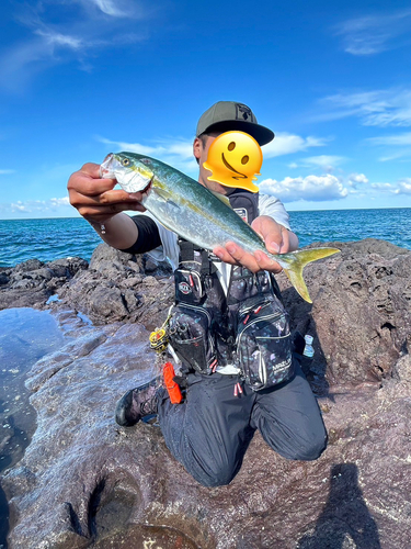 イナダの釣果