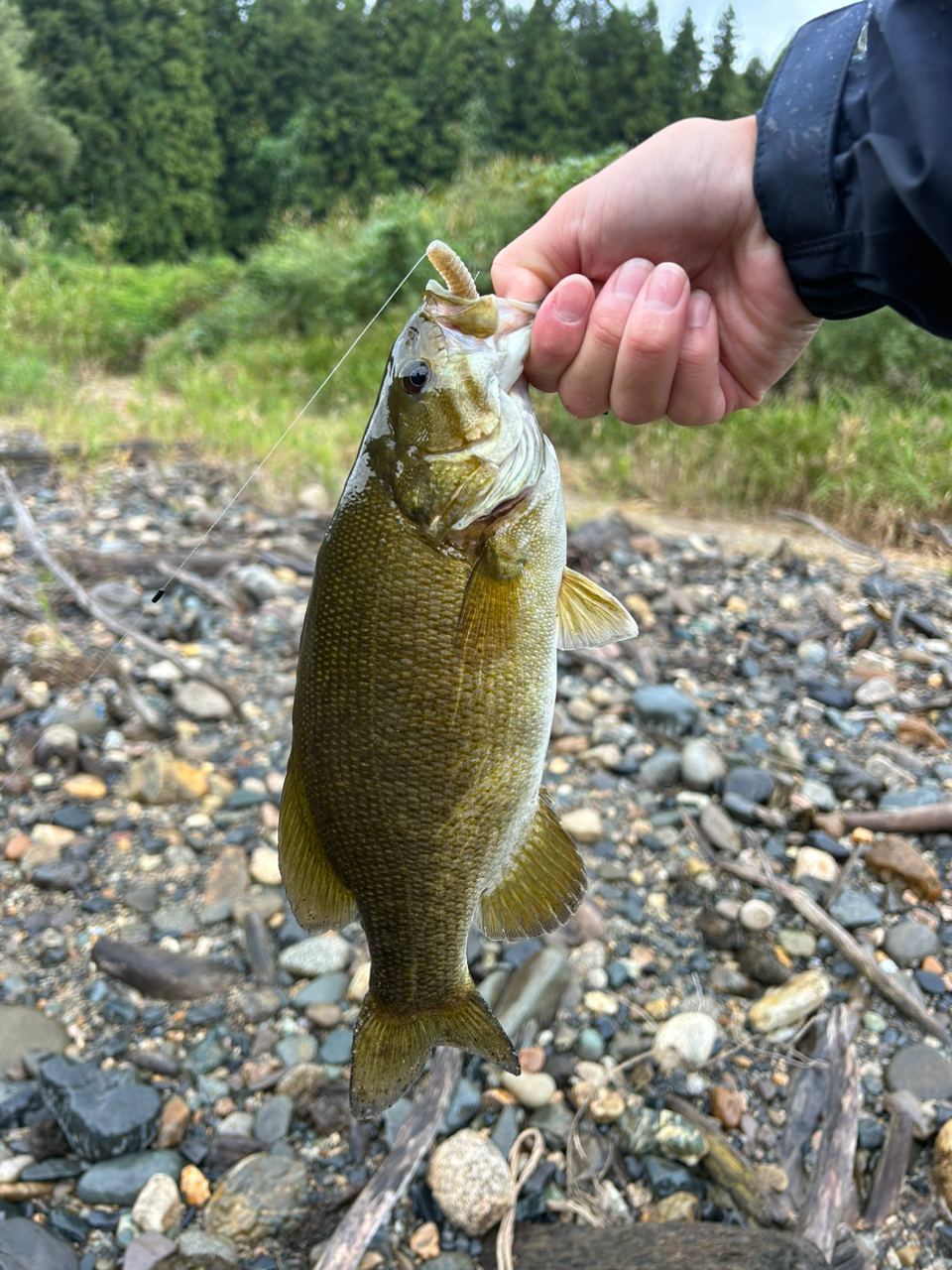 スモールマウスバス