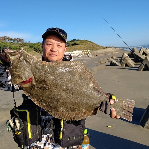 ヒラメの釣果