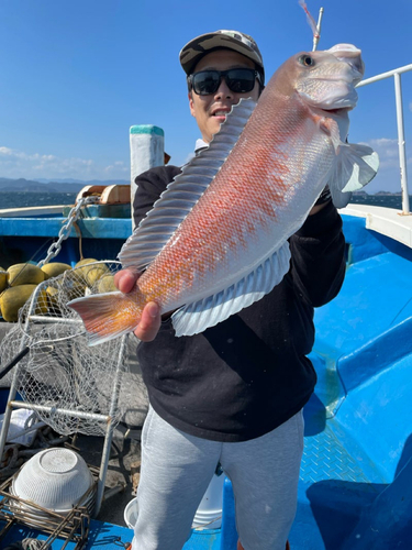 シロアマダイの釣果