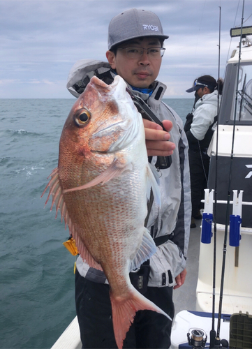 マダイの釣果